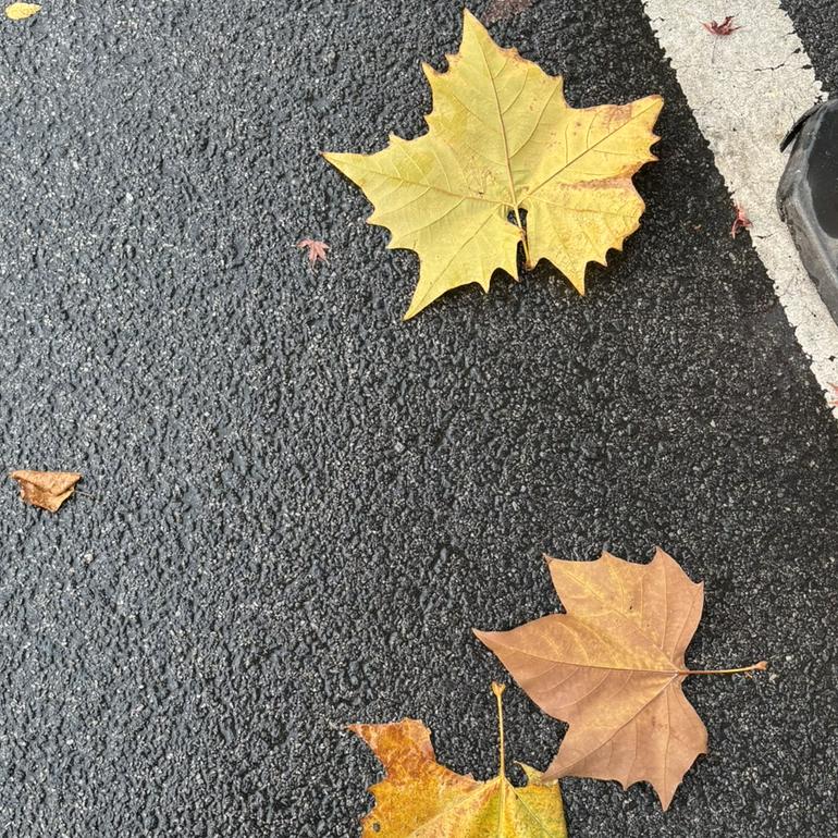 与你无关封面