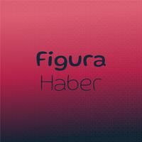 Figura Haber