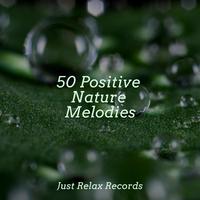 50 Positive Nature Melodies