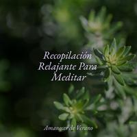 Recopilación Relajante Para Meditar