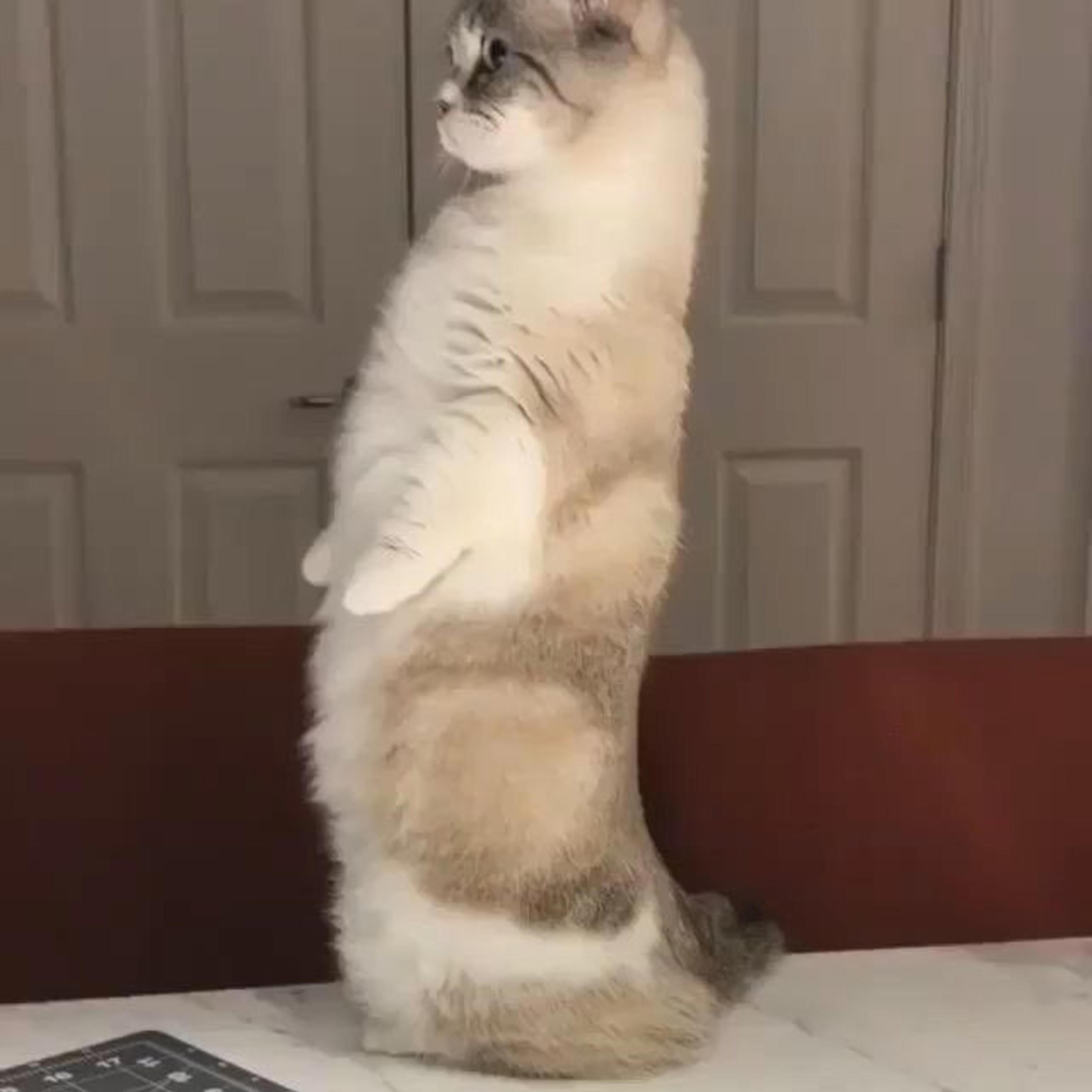 Ian Ferguson X DJHOLIDAY slowed