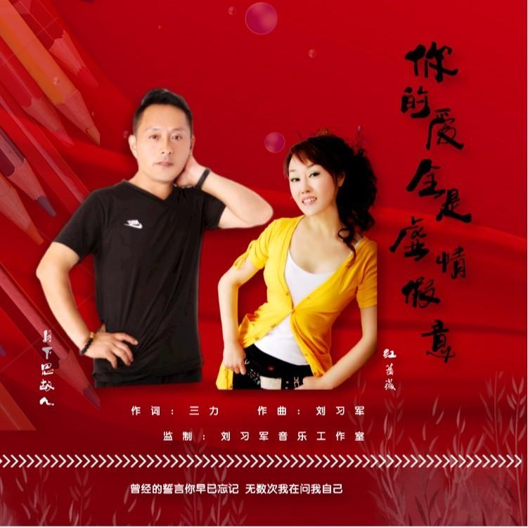 你的爱全是虚情假意 (对唱版伴奏)封面