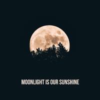 Moonlight Is Our Sunshine