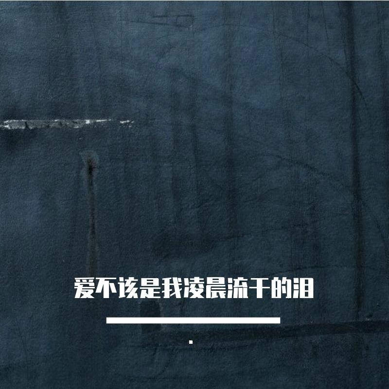 爱不完美（爱不该是我凌晨流干的泪） - 子安gkuank封面