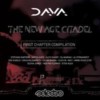 Dava The New Citadel: First Chapter Compilation