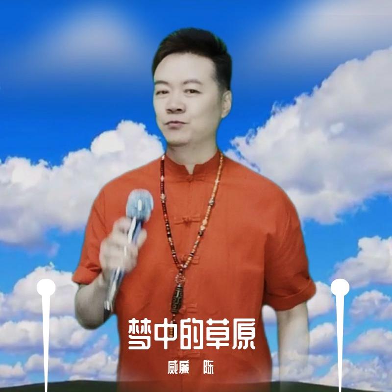 我在纳林湖等着你 - 陈永利封面