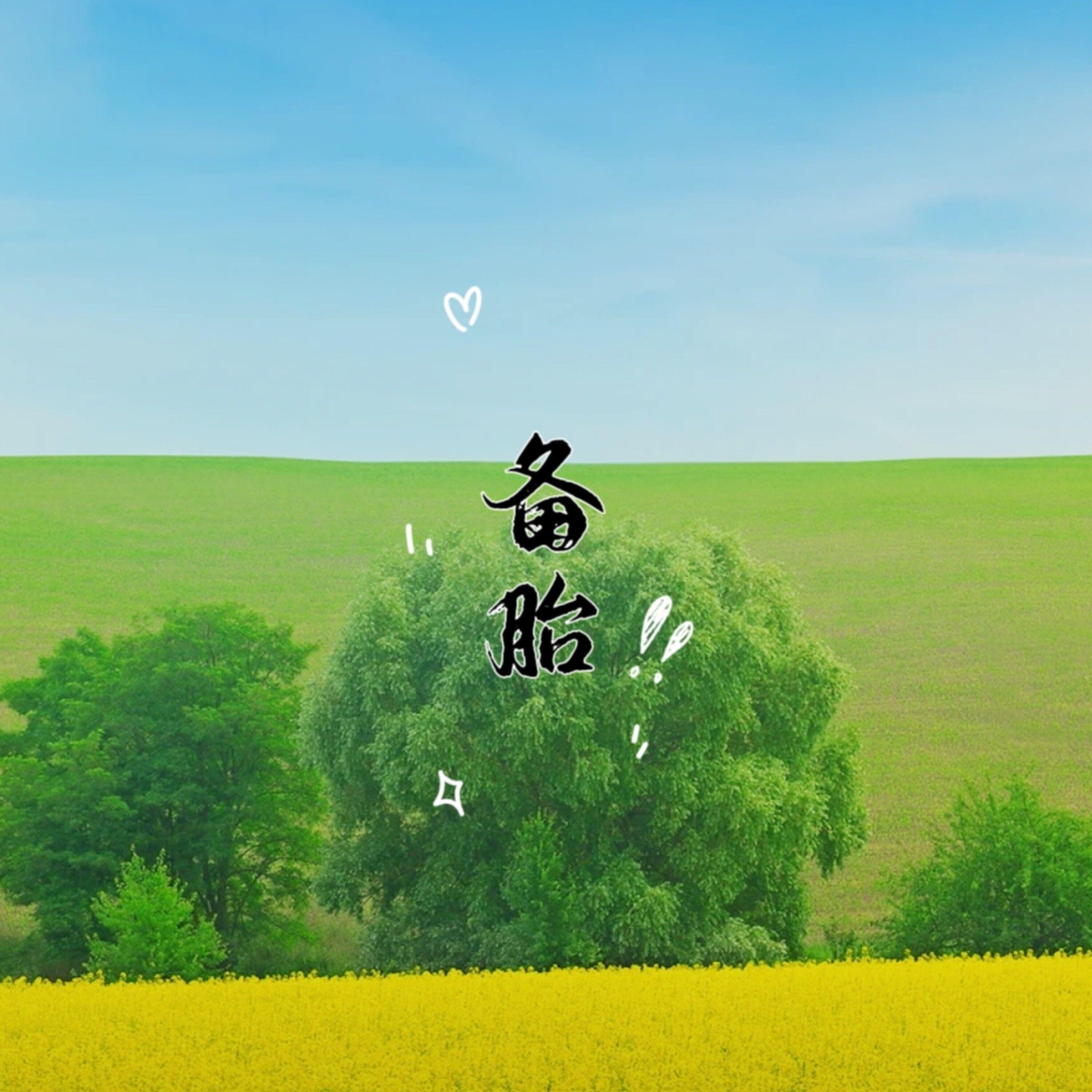 备胎 (伴奏)封面