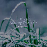 100 Peaceful Relaxing Tracks for Deep Sleep