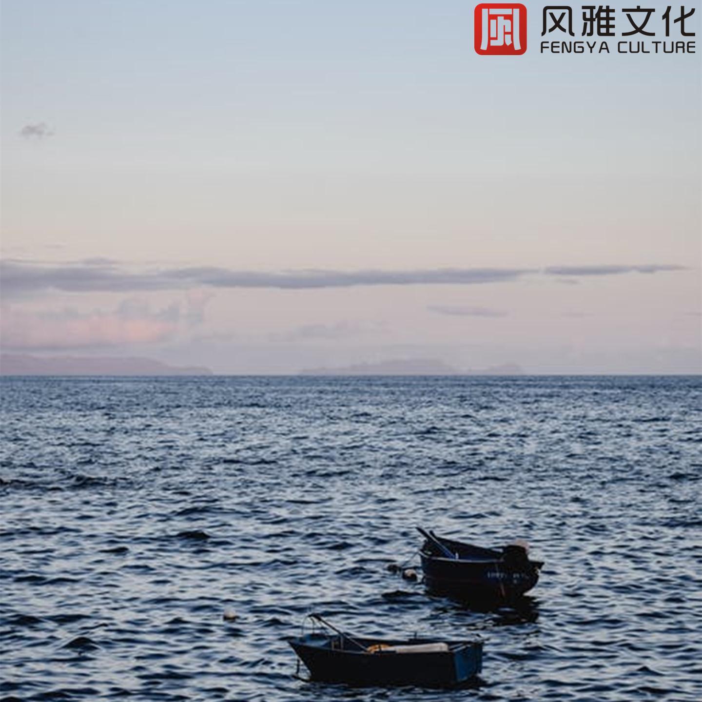 枝桠上的麻雀 -钢琴封面