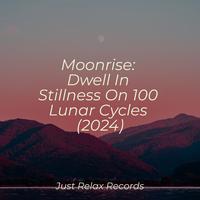 Moonrise: Dwell In Stillness On 100 Lunar Cycles (2024)