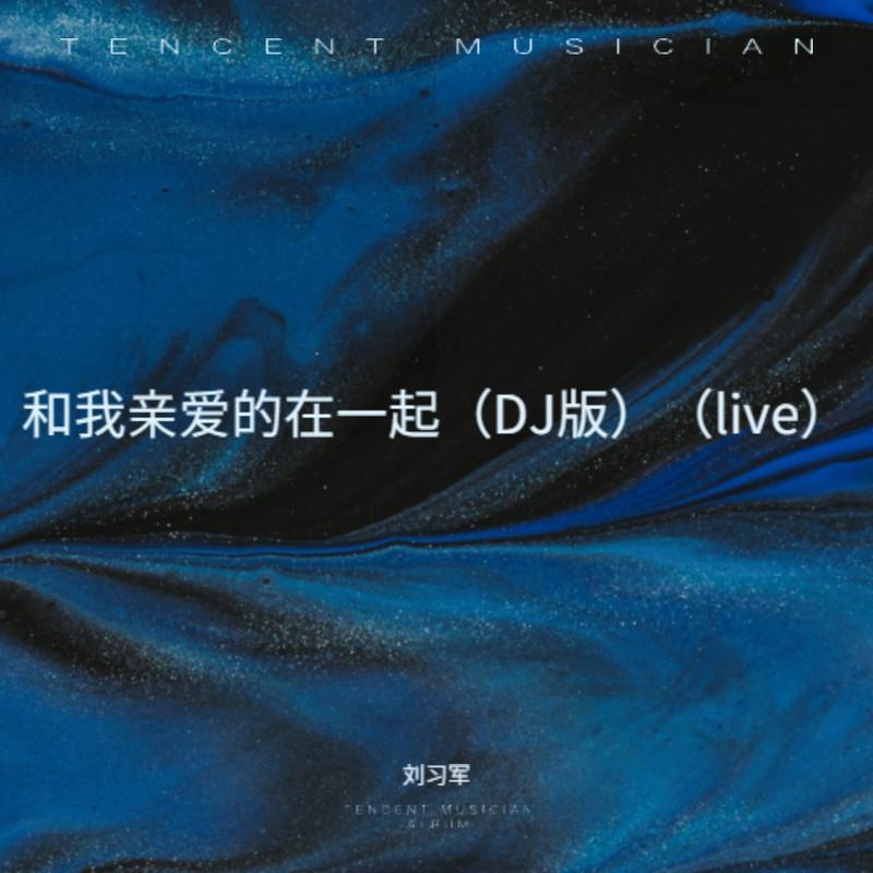 和我亲爱的在一起 (DJ版LIVE) - 刘习军封面