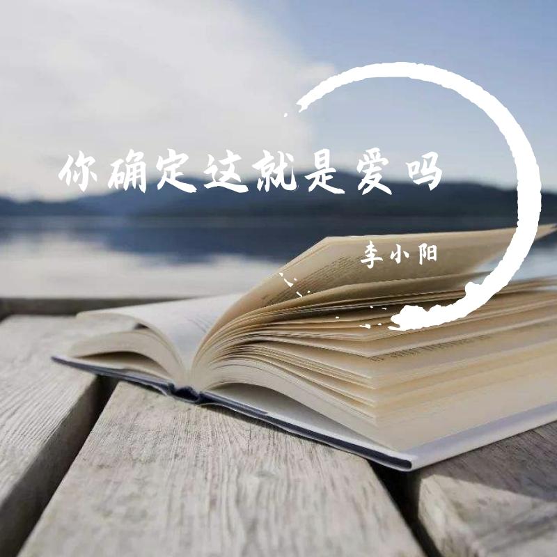 你确定这就是爱吗封面