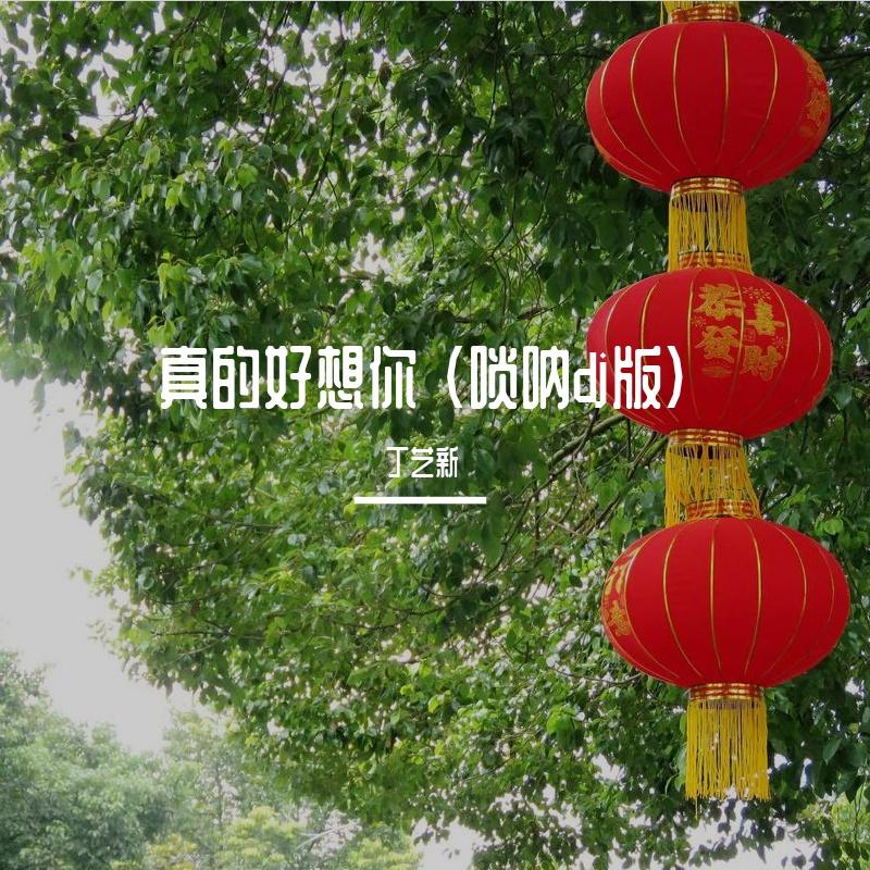 真的好想你 （唢呐dj版）封面