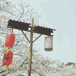 安静