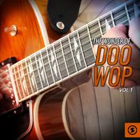 The Wonder of Doo Wop, Vol. 1