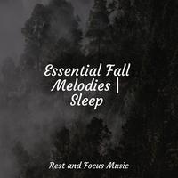 Essential Fall Melodies | Sleep