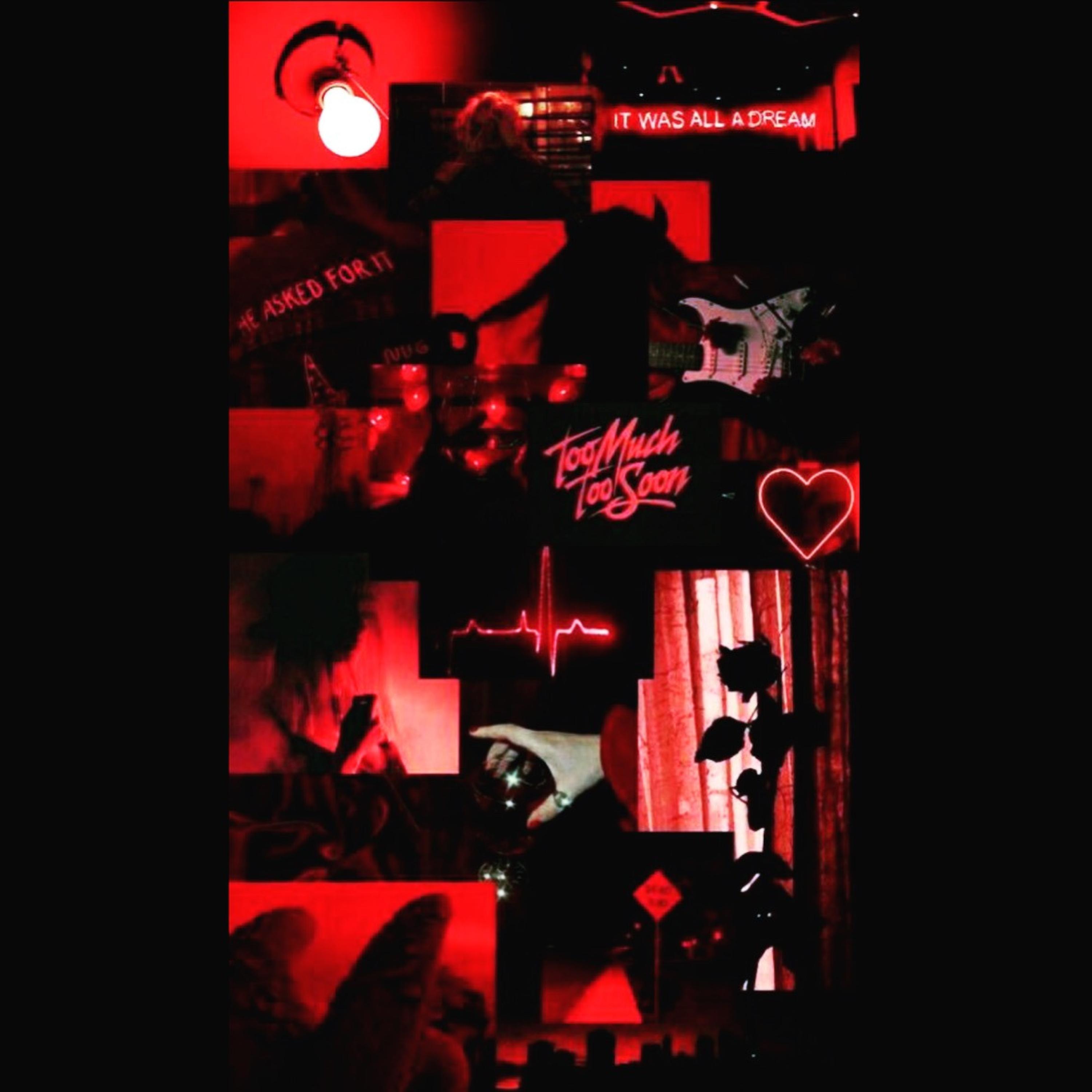 XNeva Trust A B!tchX