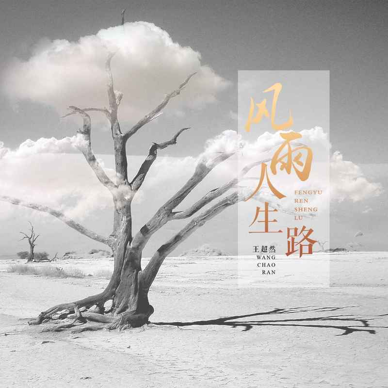风雨人生路 (Live)封面