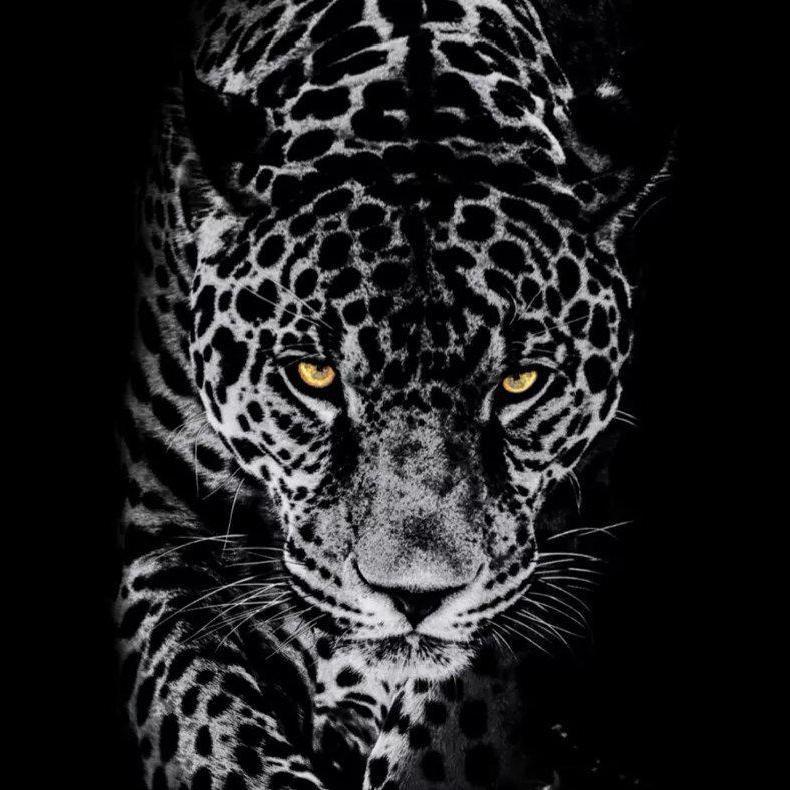 Miya Miya (oRGiNal Mix)