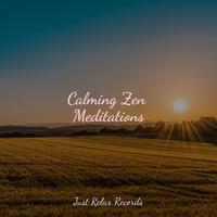 Calming Zen Meditations