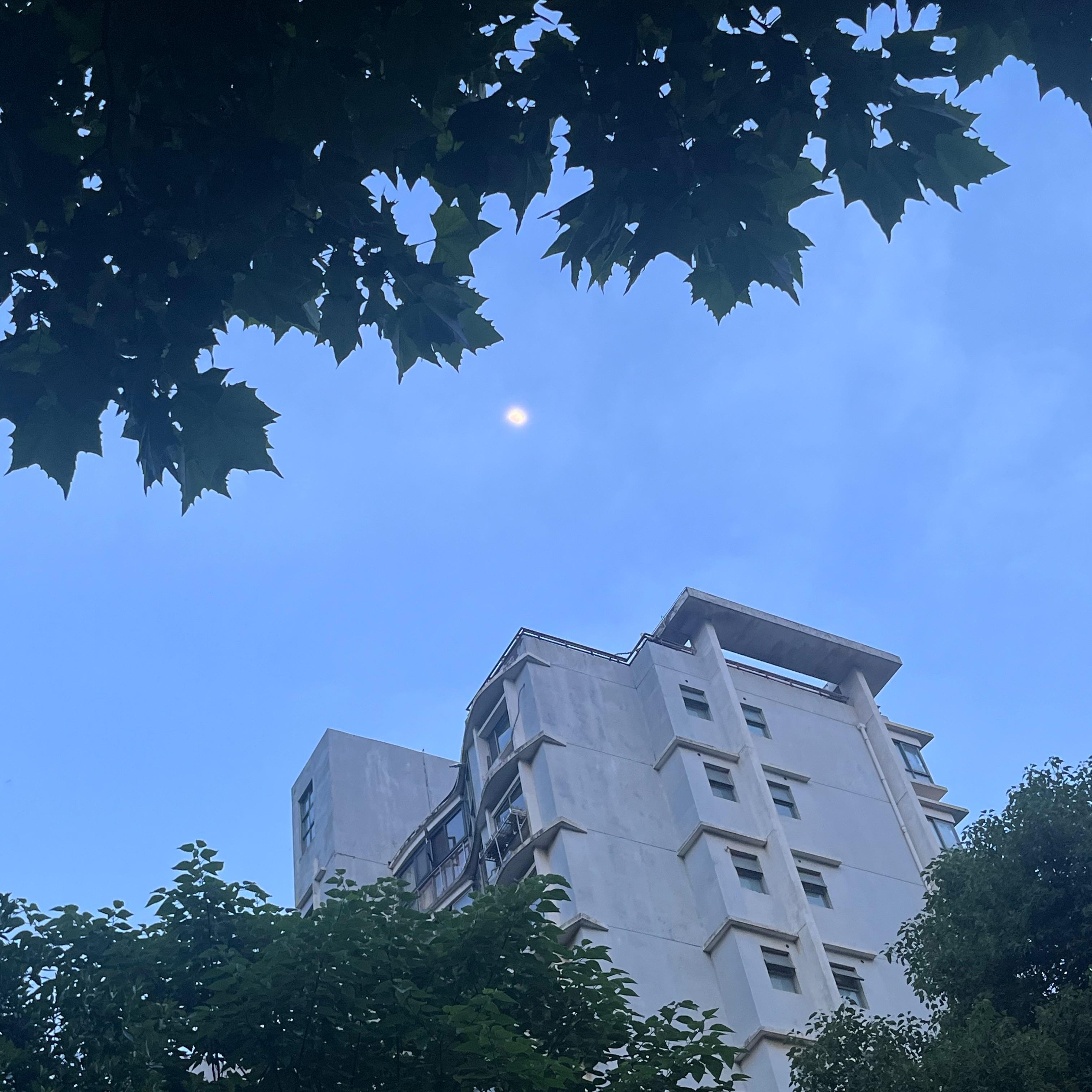 总有一天你会出现在我身边