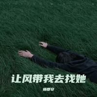 让风带我去找她（DJ阿卓版）