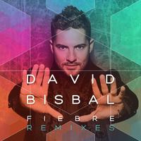 Fiebre (Remixes)