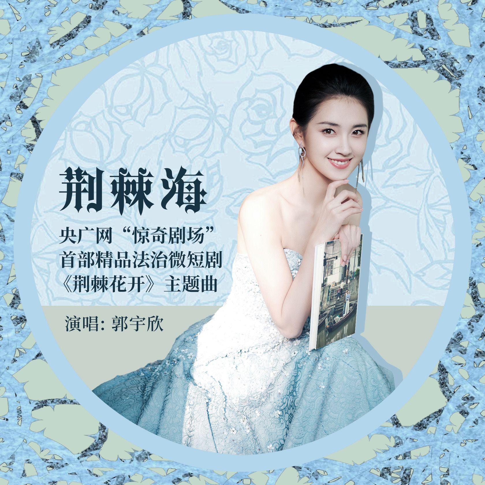 荆棘海（央广网“惊奇剧场”首部精品法治微短剧《荆棘花开》主题曲） 和声伴奏 - 郭宇欣封面