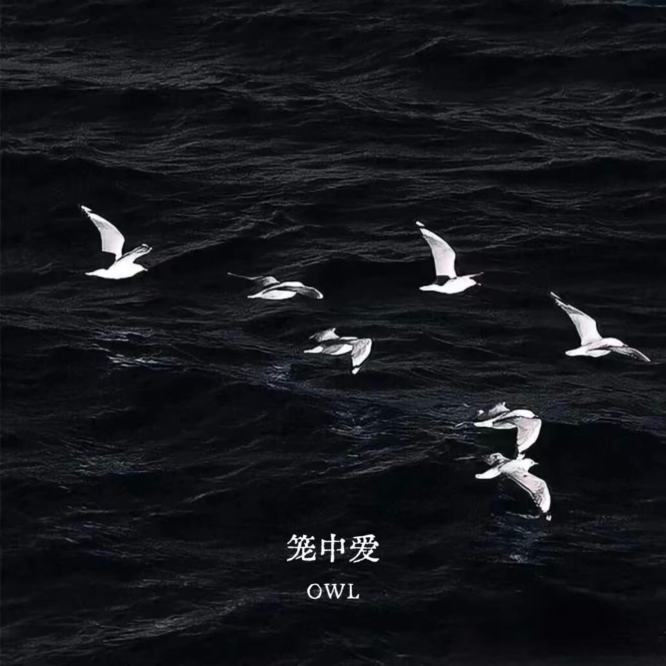 笼中爱_猫头英OWL_笼中爱 | 在线播放_笼中爱歌词_笼中爱下载 | 网易云音乐