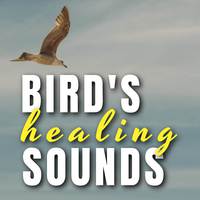 Bird's Healing Sounds