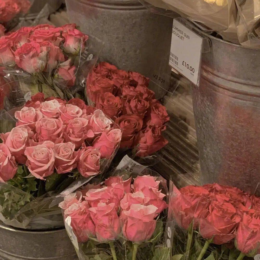 『宿命』我们可是纯爱啊…