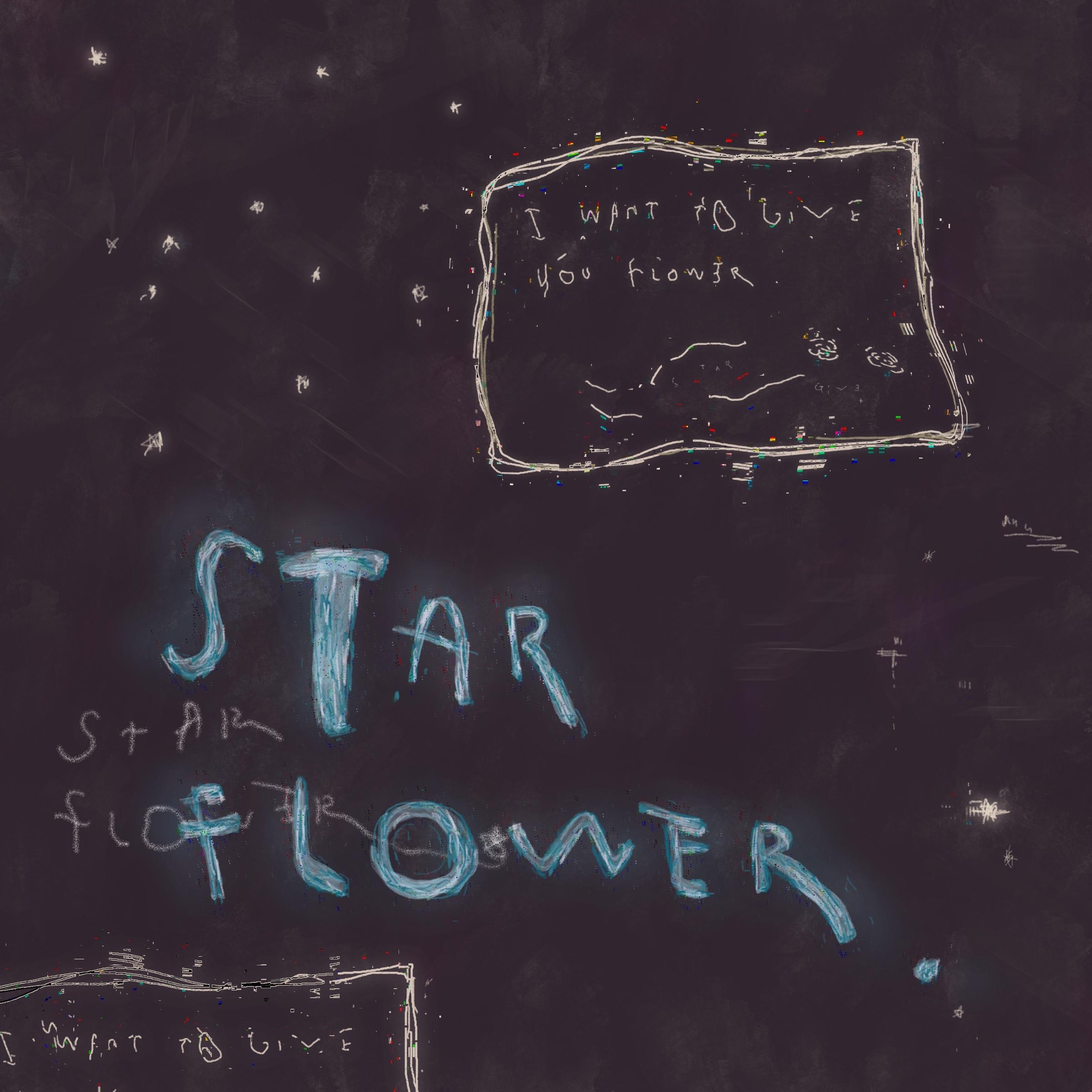 star flower封面
