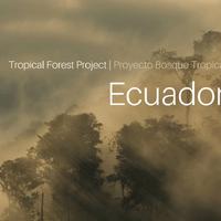 Tropical Forest Project: Ecuador