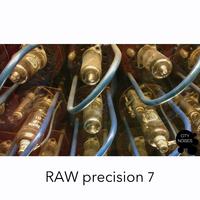 Raw Precision 7