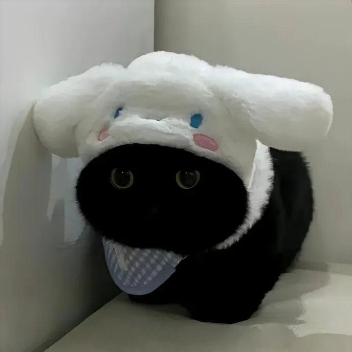 我脑子有点迷糊