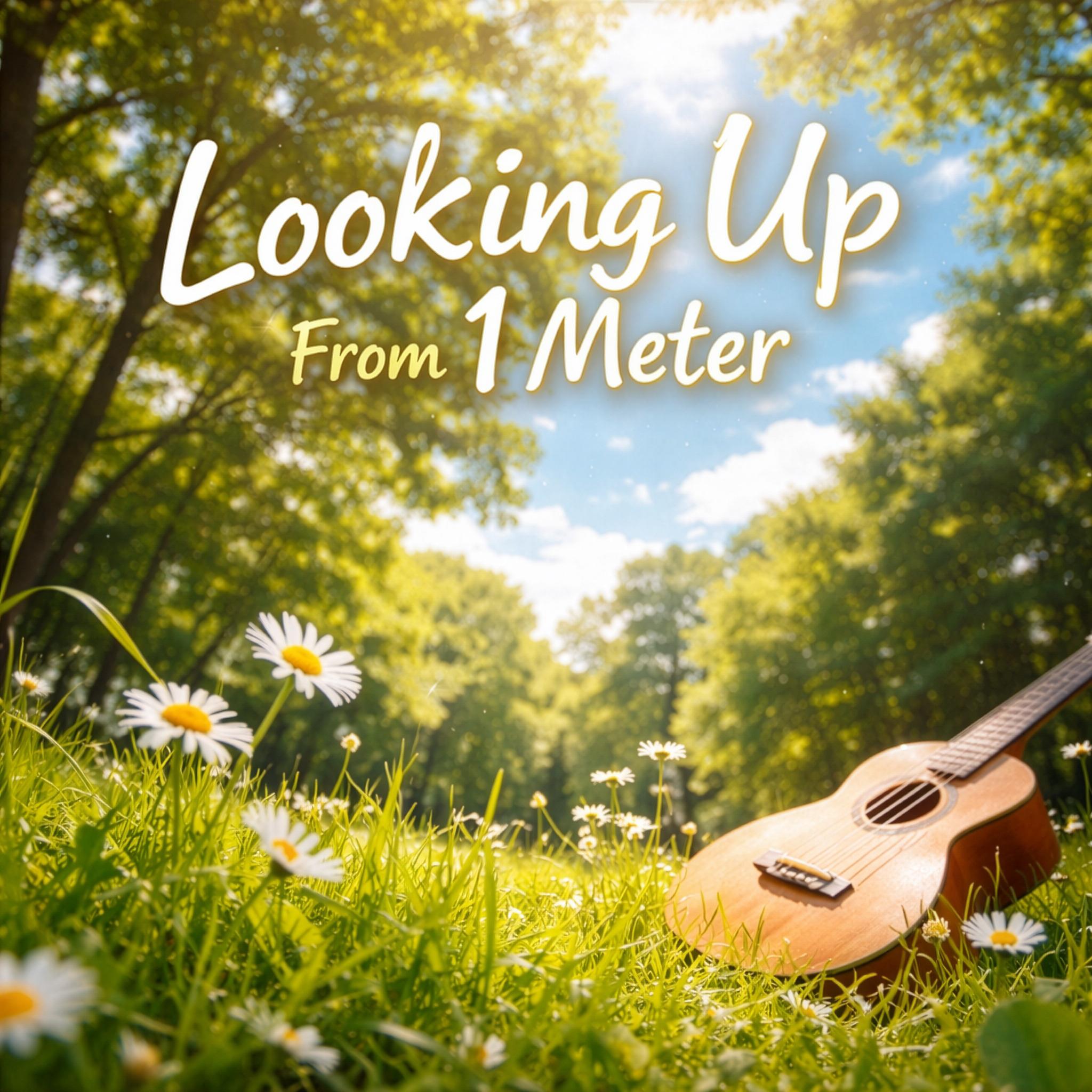 Looking Up From 1 Meter