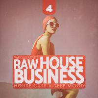 Raw House Business, Vol. 4