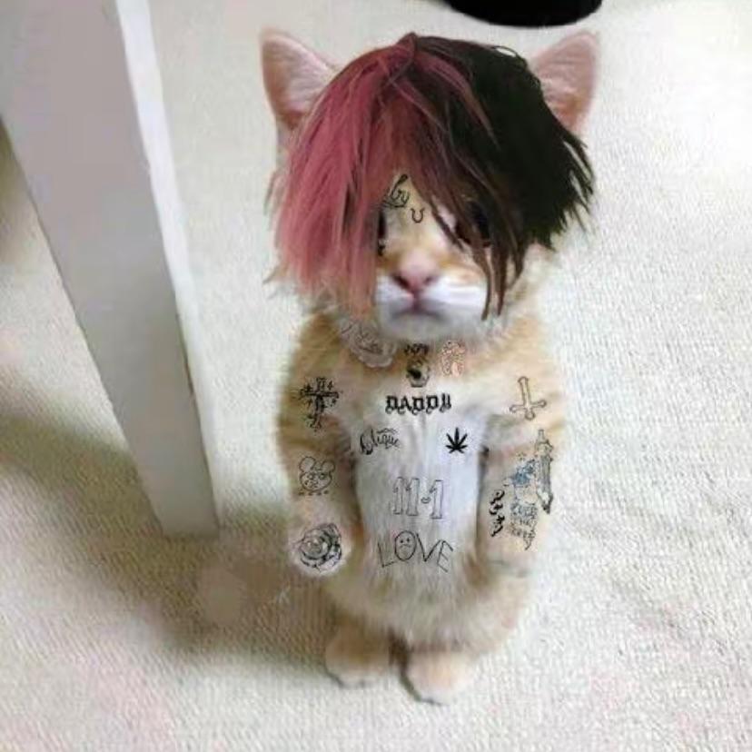 ##shout out ##cobain