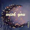 黎子喵 - Wish You（新年贺曲）（翻自 KBShinya）