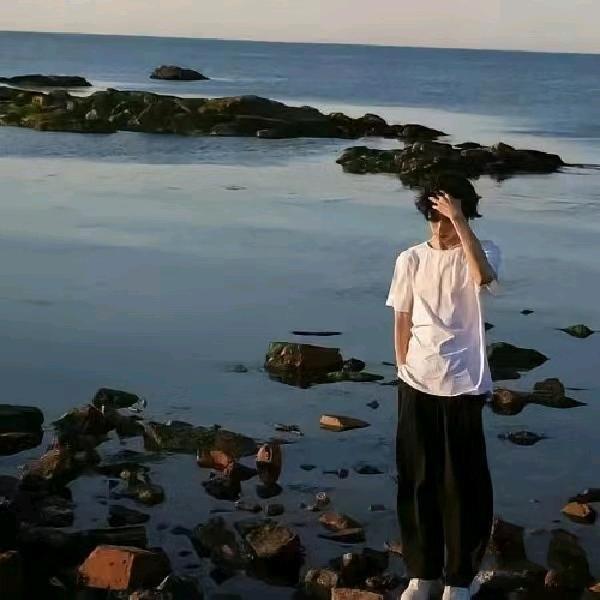 付出真心却总被枉费