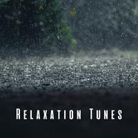 Relaxation Tunes: Light Rain and Bird Song Melodies