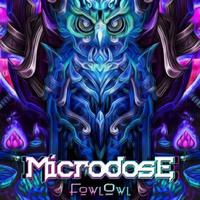 FowlOwl