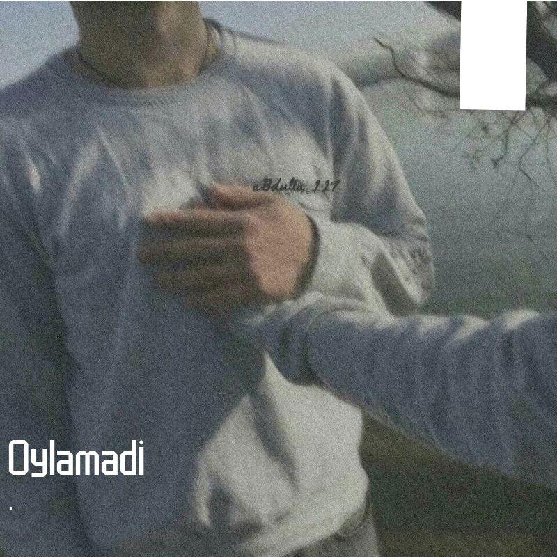 Oylamidi