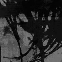 金辰宇JAYSEA资料,金辰宇JAYSEA最新歌曲,金辰宇JAYSEAMV视频,金辰宇JAYSEA音乐专辑,金辰宇JAYSEA好听的歌