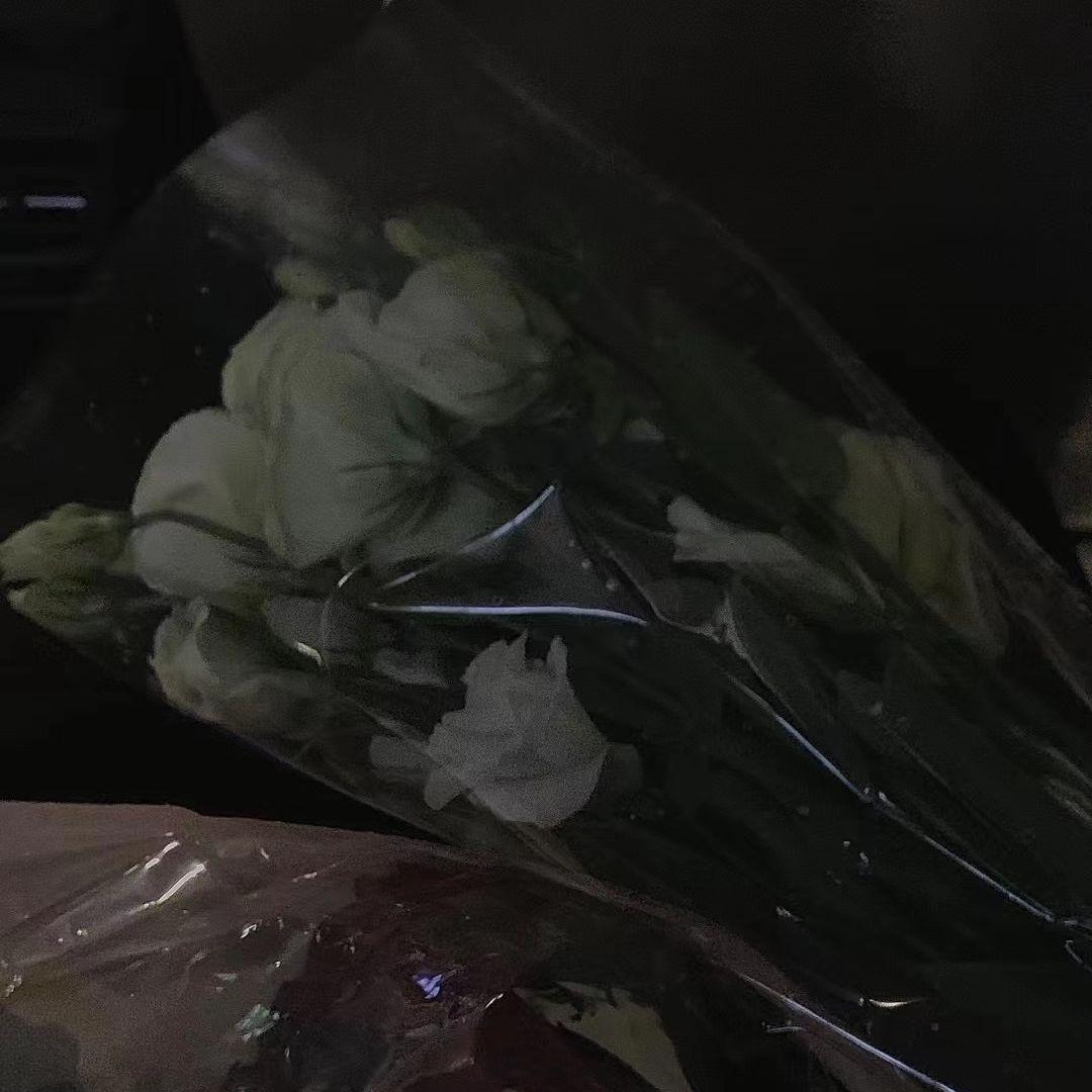 流淌的记忆 伴奏封面