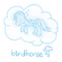 Birdhorse EP