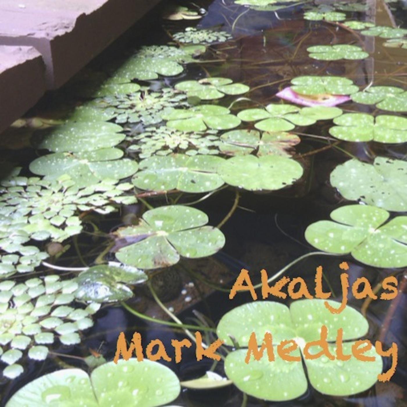 Ardas Bhayee (Long Chant)