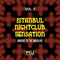 Istanbul Nightclub Sensation, Vol. 3 (Groove to the Bassline)