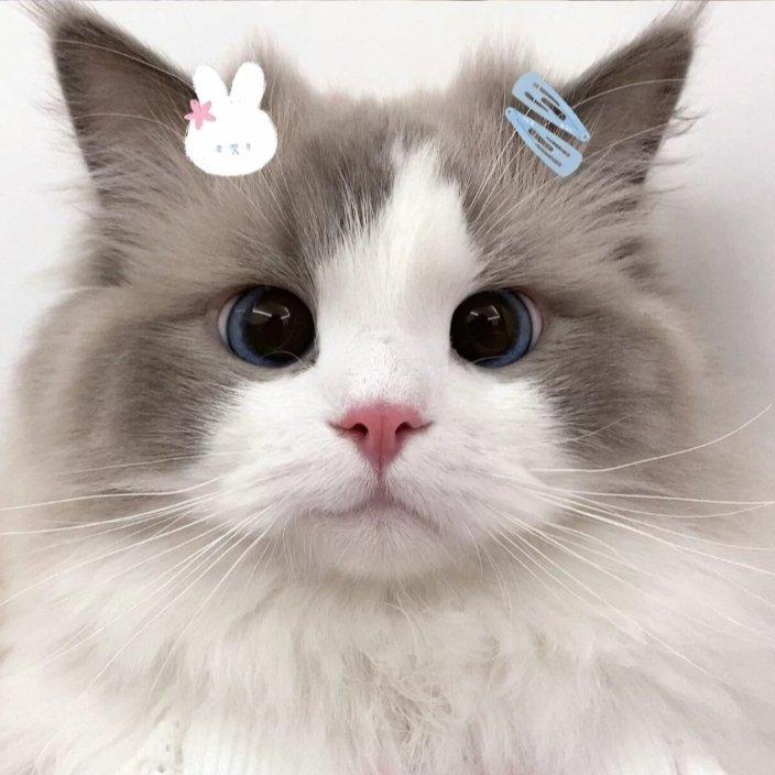 [成分复杂] 啥歌都听 啥歌都有