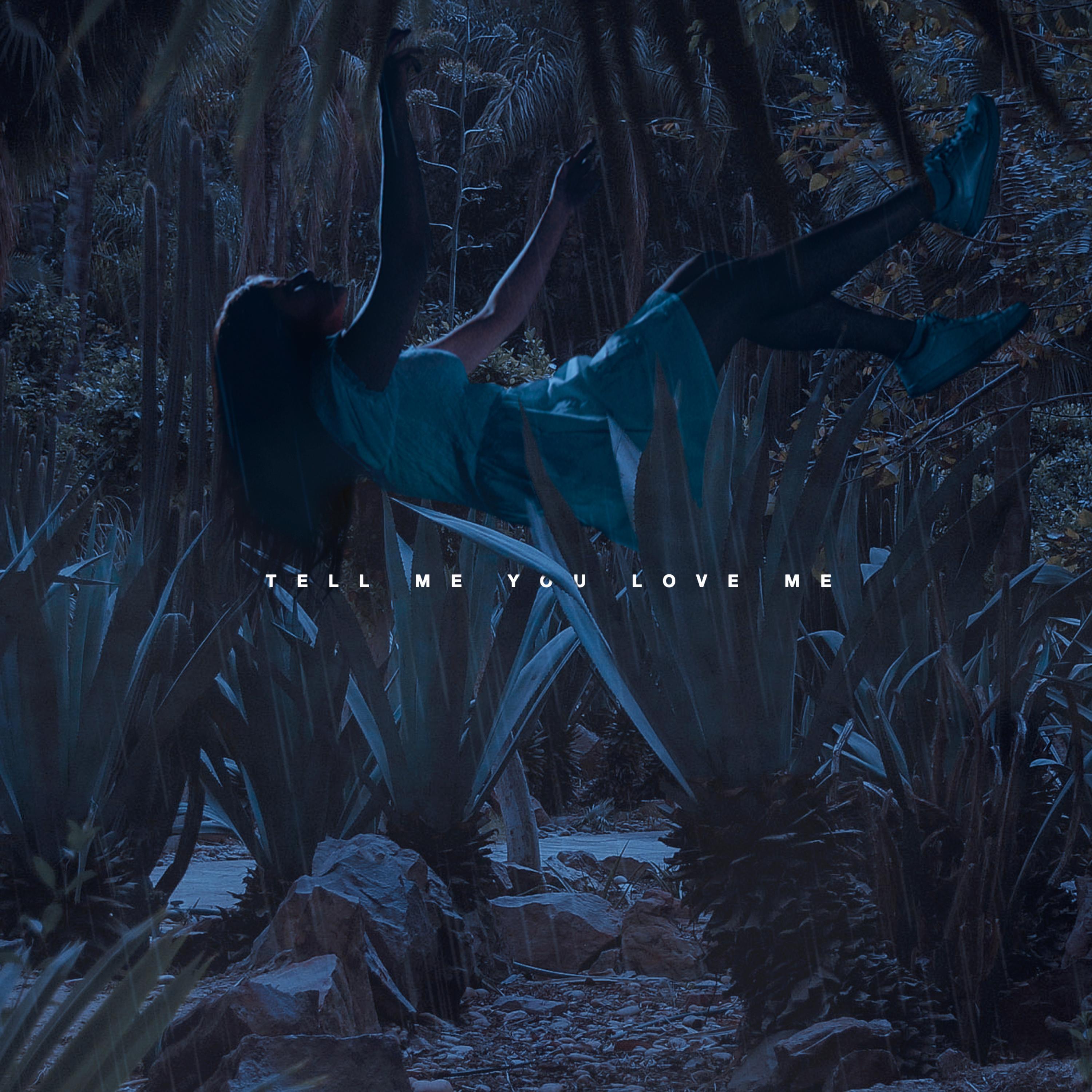 Tell Me You Love Me (Radio Edit)